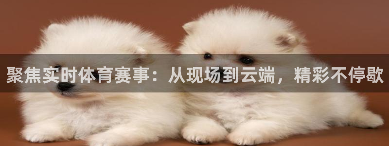 9255tv直播无插件nba：聚焦实时体育赛事：从现场到云端，精彩不停歇