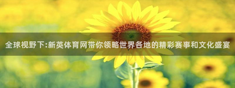 9255tv直播nba在线观看：全球视野下:新英体育网带你领略世界各地的精彩赛事和文化盛宴
