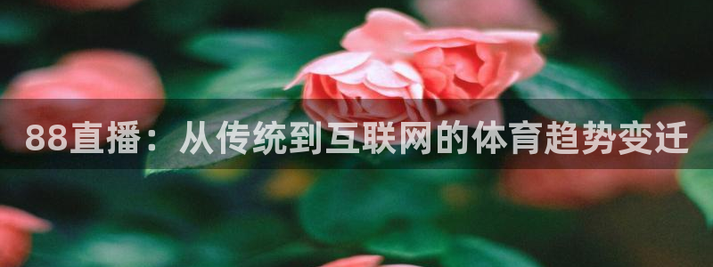 9255tv直播无插件nba：88直播：从传统到互联网的体育趋势变迁