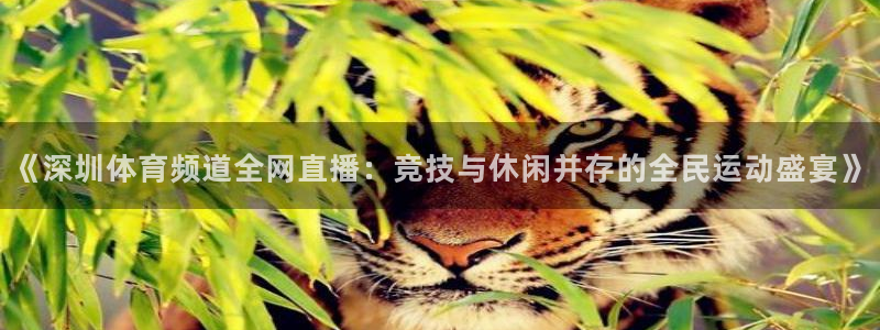 9255tv直播无插件nba：《深圳体育频道全网直播：竞技与休闲并存的全民运动盛宴》