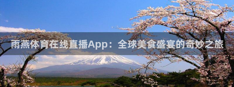 9255tv直播nba在线观看：雨燕体育在线直播App：全球美食盛宴的奇妙之旅