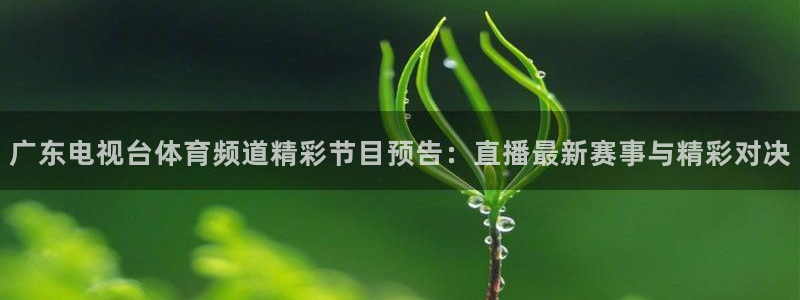 9255tv直播nba在线直播：广东电视台体育频道精彩节目预告：直播最新赛事与精彩对决
