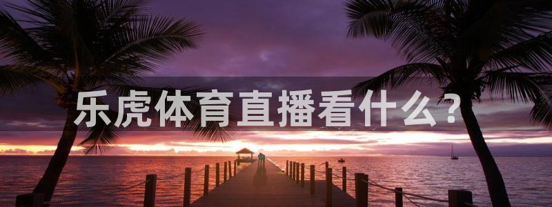 9255tv直播nba在线观看：乐虎体育直播看什么？