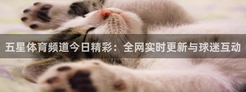 9255tv直播nba在线观看：五星体育频道今日精彩：全网实时更新与球迷互动